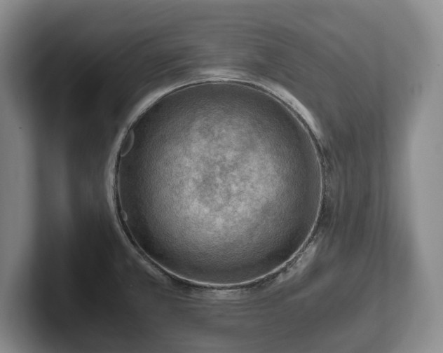 X0000102391381200808081218