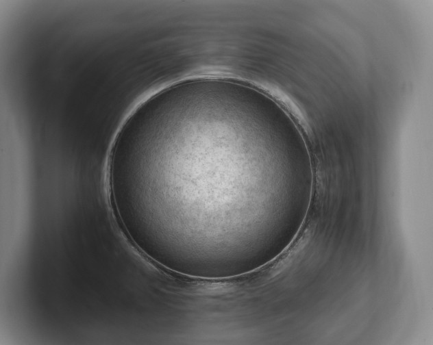 X0000102391382200808081218