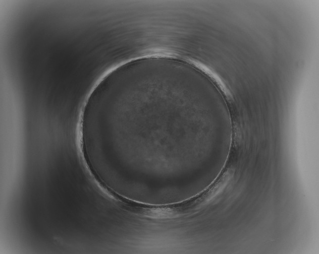 X0000102391383200808081218