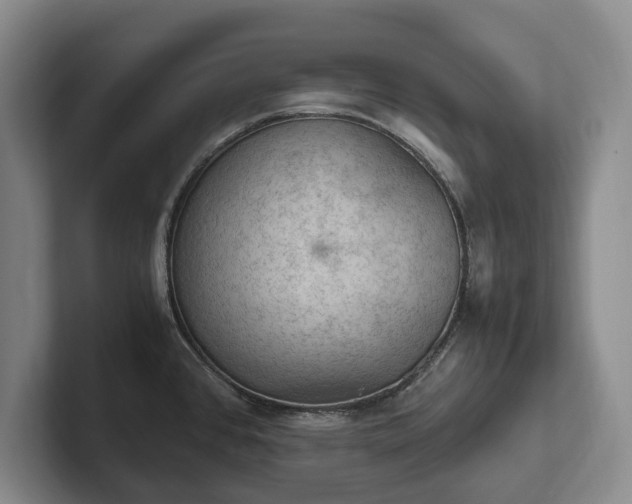 X0000102391384200808081218