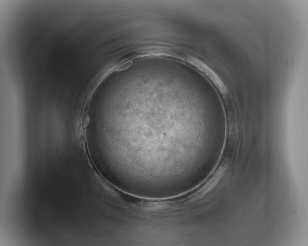 X0000102391385200808081218