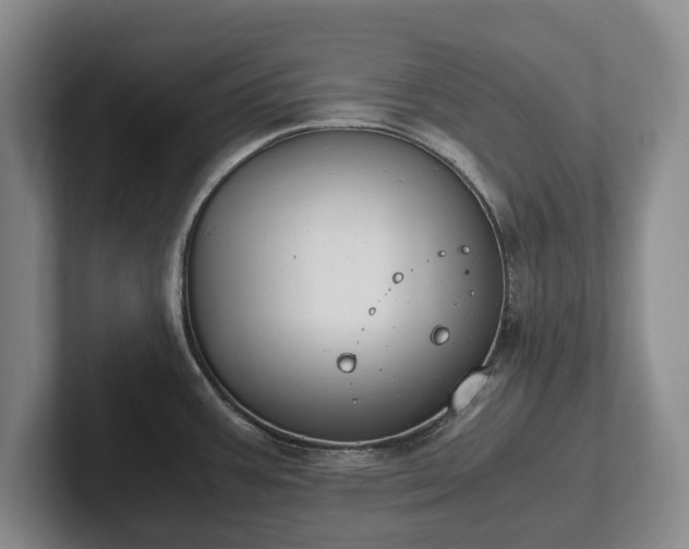 X0000102391387200808081218