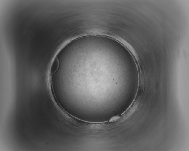 X0000102391389200808081218