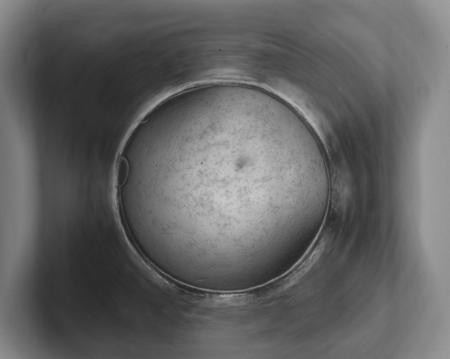 X0000102391390200808081218