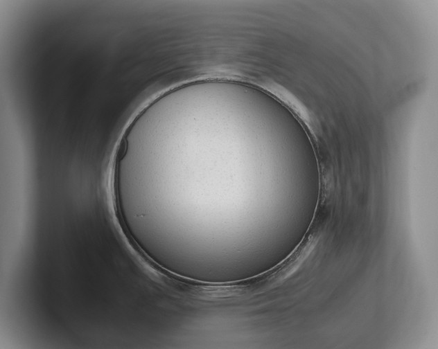 X0000102391391200808081218