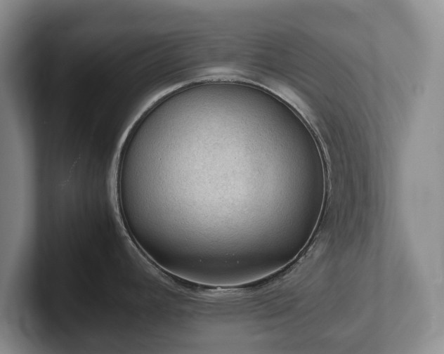 X0000102391392200808081218