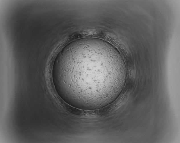 X0000102391393200808081218