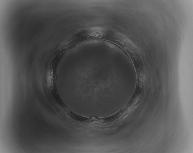 X0000102391394200808081218