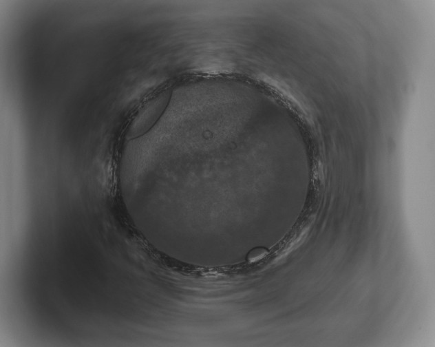 X0000102391398200808081218