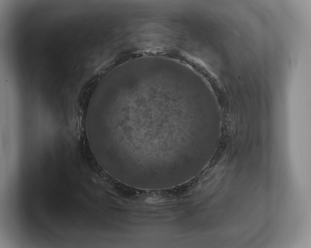 X0000102391399200808081218