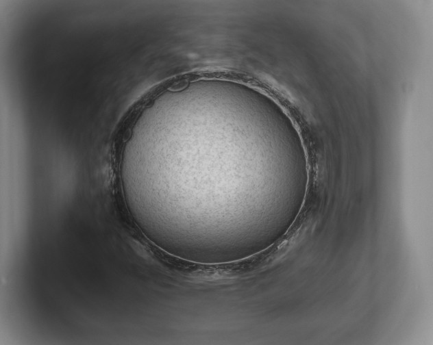 X0000102391400200808081218