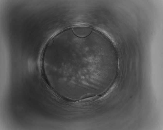 X0000102391405200808081218