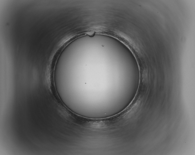 X0000102391410200808081218