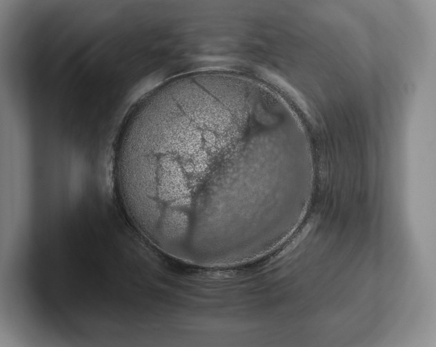 X0000102391411200808081218