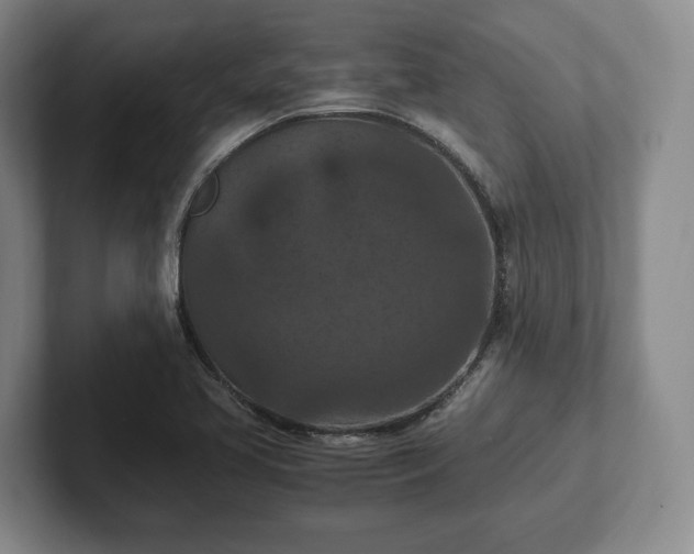 X0000102391413200808081218