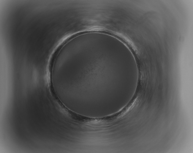 X0000102391414200808081218