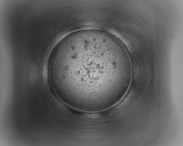 X0000102391415200808081218