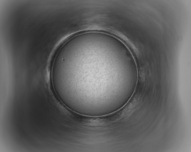 X0000102391416200808081218