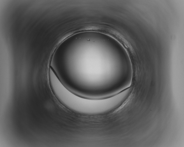 X0000102391417200808081218