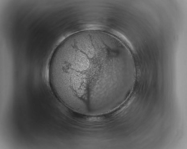 X0000102391419200808081218