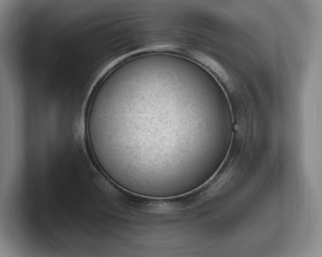 X0000102391420200808081218