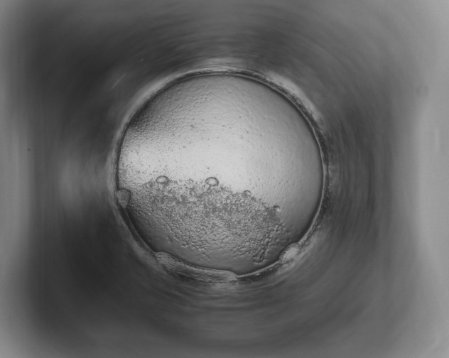 X0000102391421200808081218