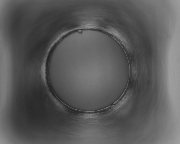 X0000102391422200808081218