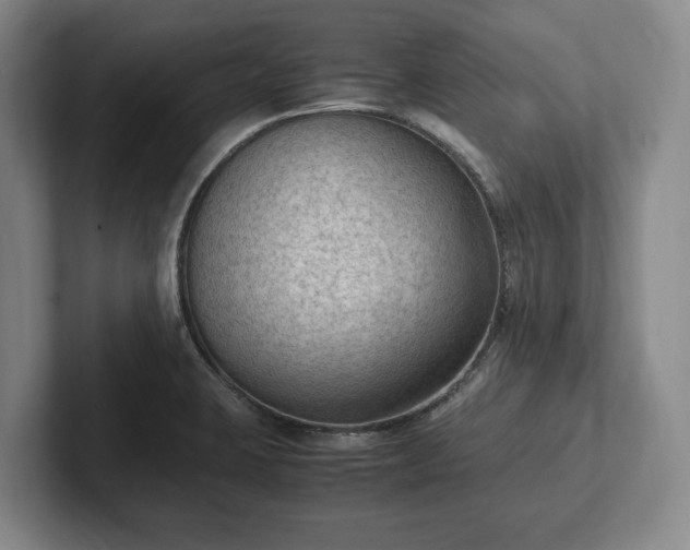 X0000102391423200808081218