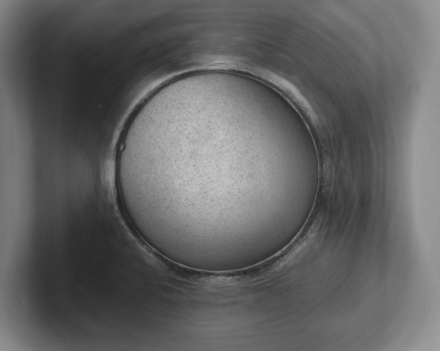 X0000102391424200808081218