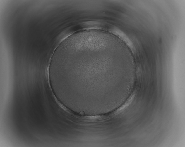 X0000102391425200808081218