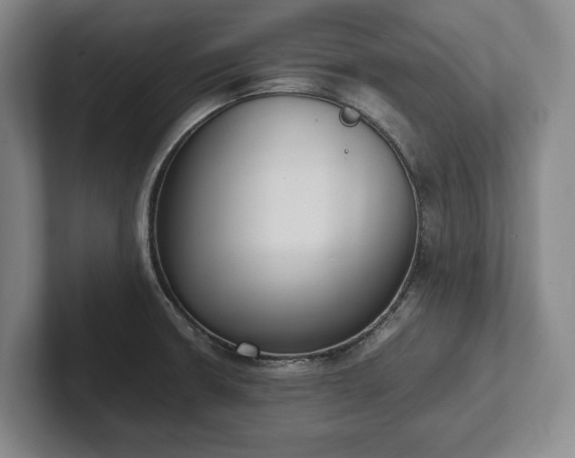 X0000102391426200808081218