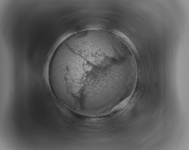 X0000102391427200808081218