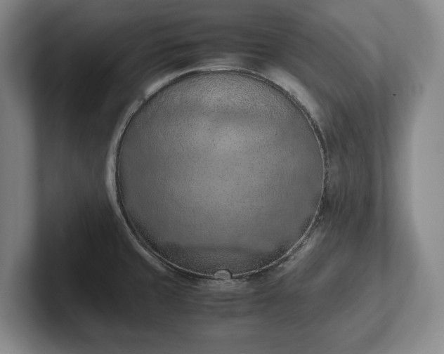 X0000102391429200808081218