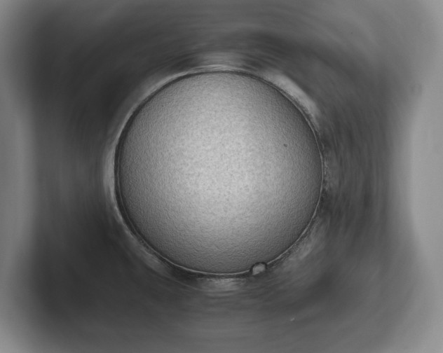 X0000102391431200808081218