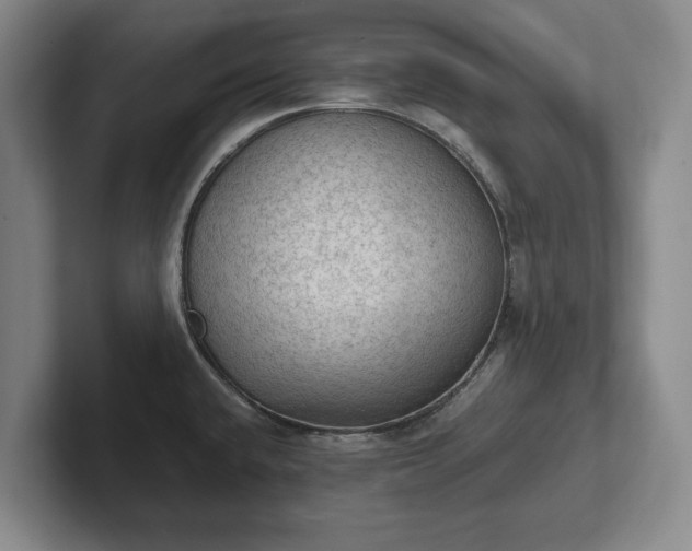 X0000102391432200808081218