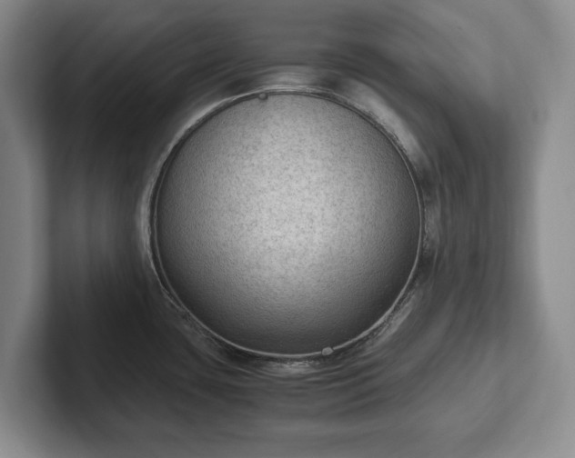 X0000102391435200808081218