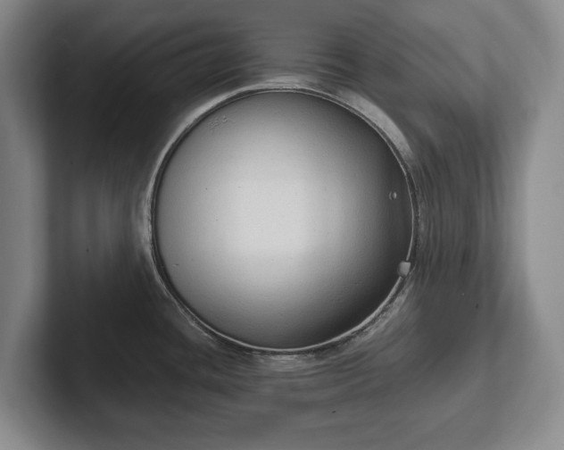 X0000102391436200808081218