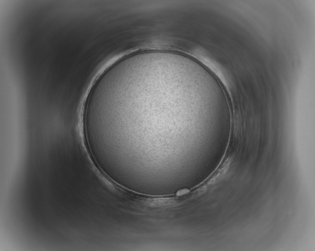 X0000102391437200808081218