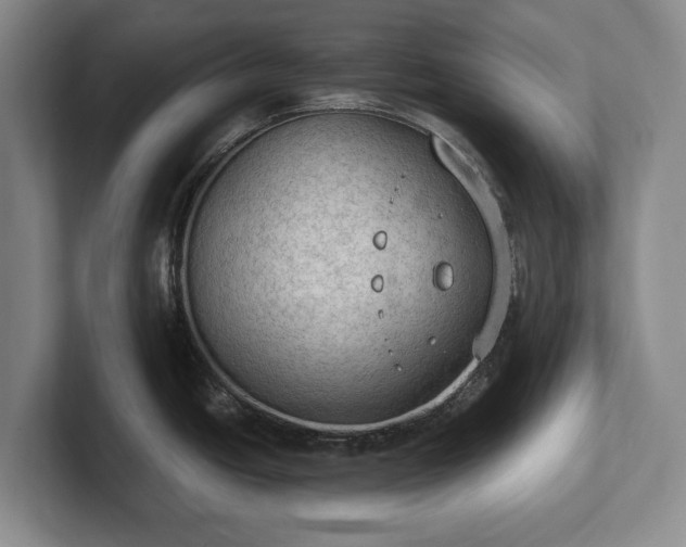 X0000102391438200808081218