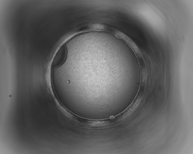 X0000102391439200808081218