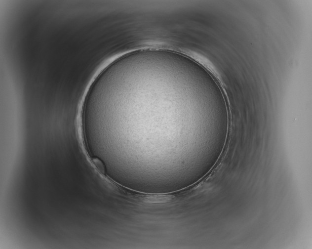 X0000102391440200808081218