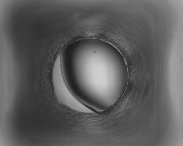 X0000102391441200808081218