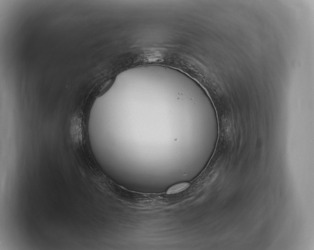 X0000102391442200808081218