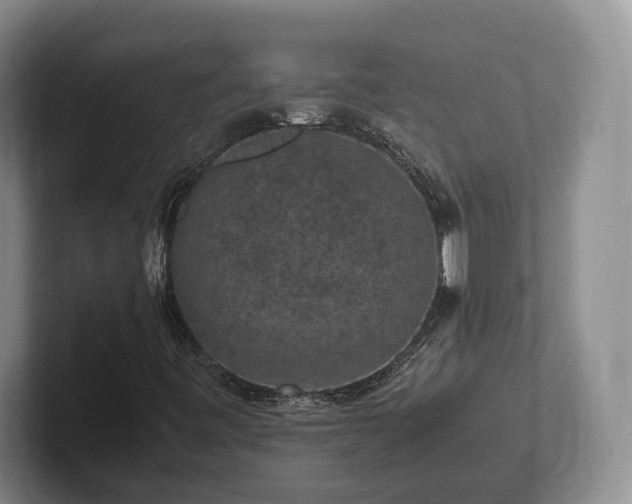 X0000102391443200808081218