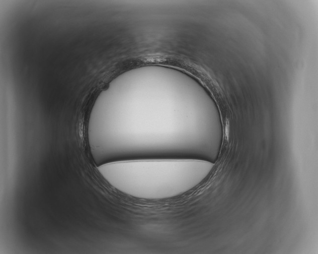 X0000102391444200808081217