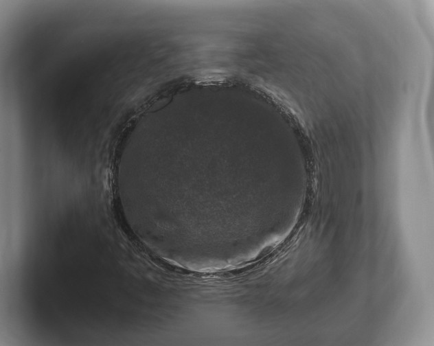 X0000102391445200808081217