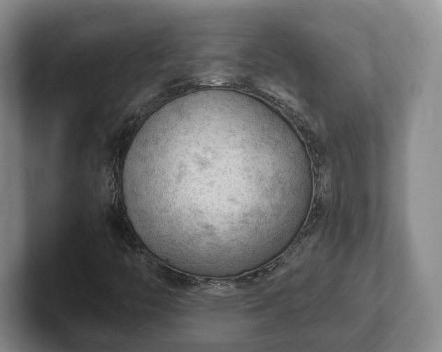 X0000102391446200808081217