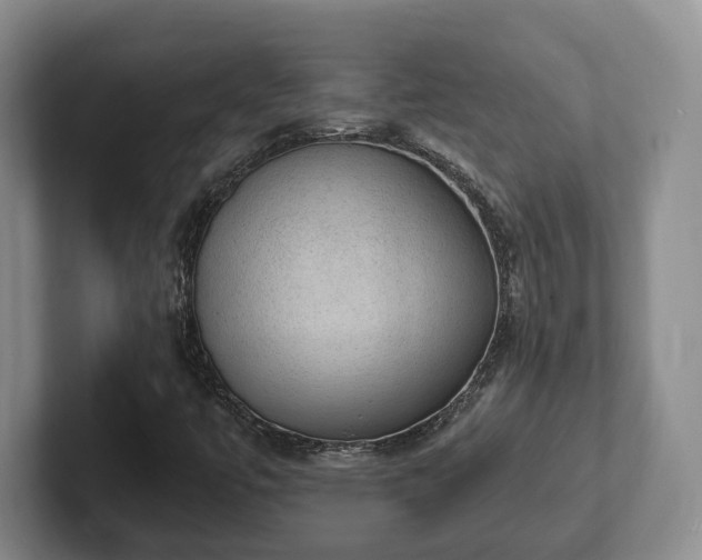 X0000102391447200808081217