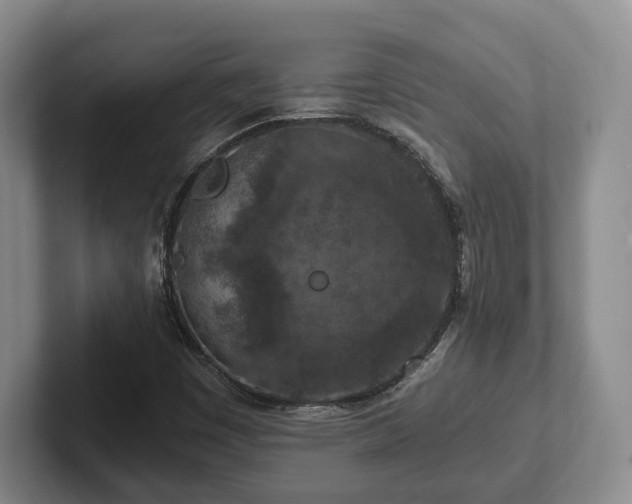 X0000102391449200808081217