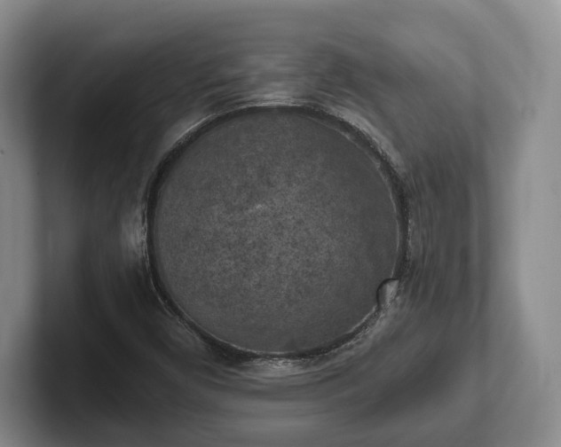 X0000102391450200808081217